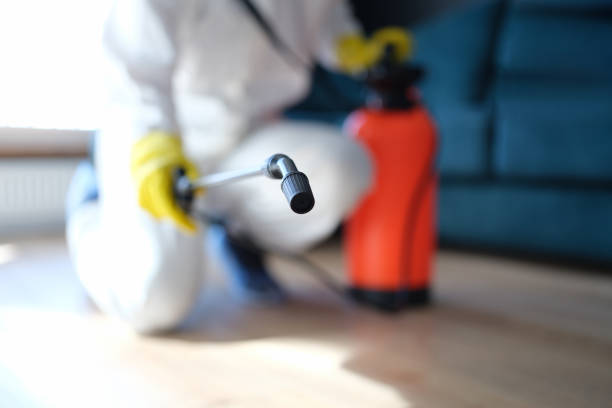 Best Water Damage & Mold Remediation  in Atwater, CA