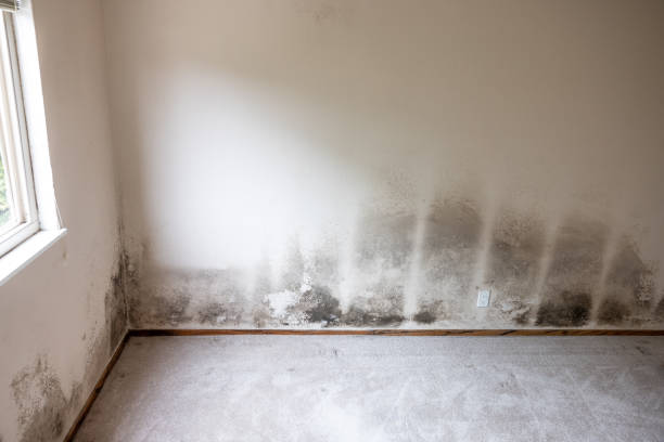 Best Mold Odor Removal Services  in Atwater, CA