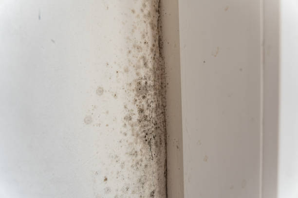 Best Post-Remediation Verification Testing  in Atwater, CA